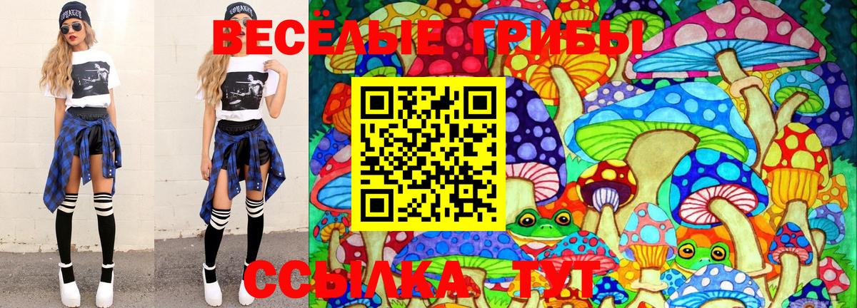Псилоцибиновые грибы Cubensis  Вход с VPN  Псилоцибиновые грибы Magic Shrooms  Арсеньев 